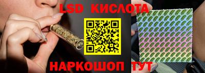 прущие грибы Малгобек