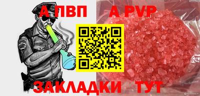прущие грибы Малгобек