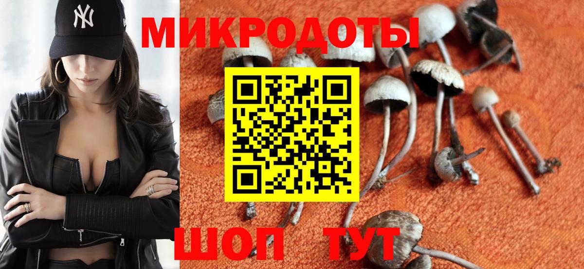 Галлюциногенные грибы ЛСД Вязники